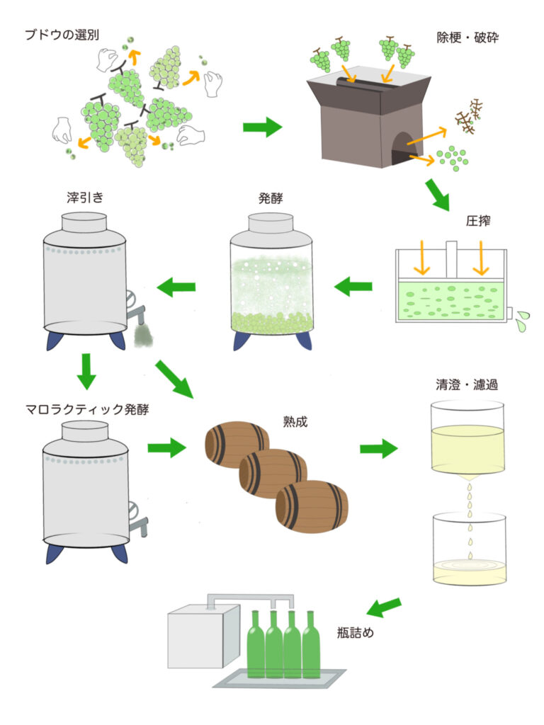 白ワインの製造工程