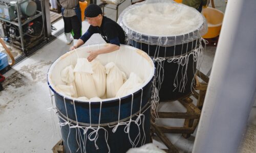 日本酒の製造風景11
