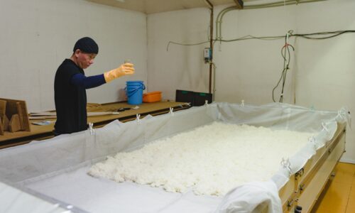 日本酒の製造風景06