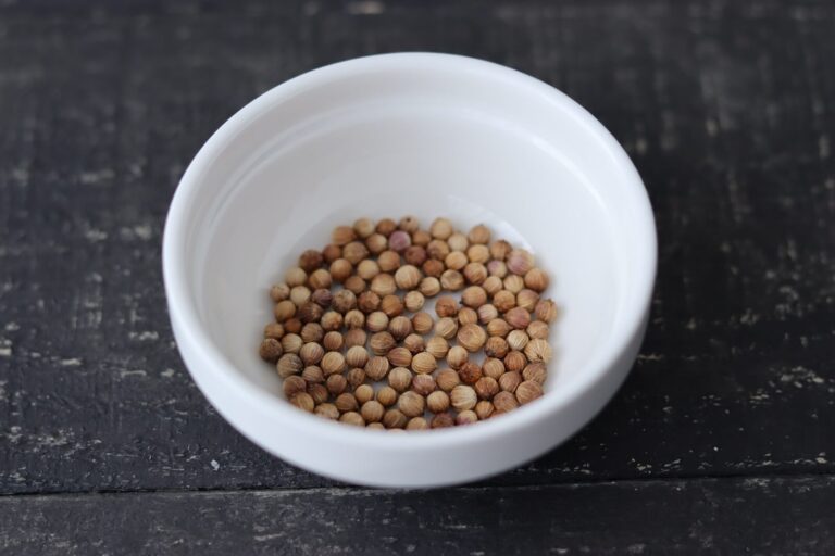 コリアンダー（コエンドロ）ホール