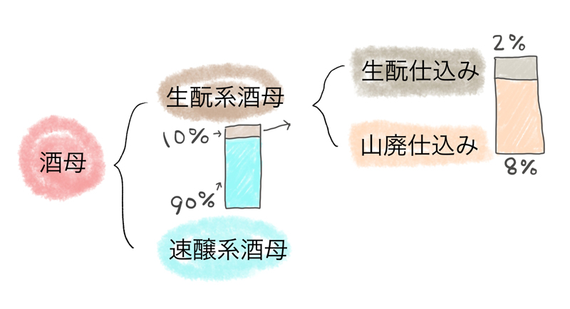 速醸系と生酛系の作りの違い02