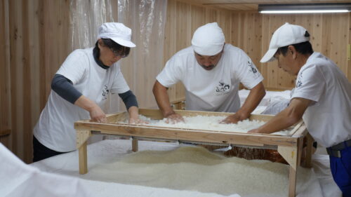 日本酒の製造風景08