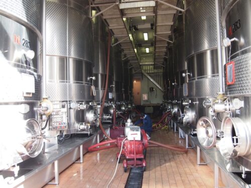 ワイン発酵風景