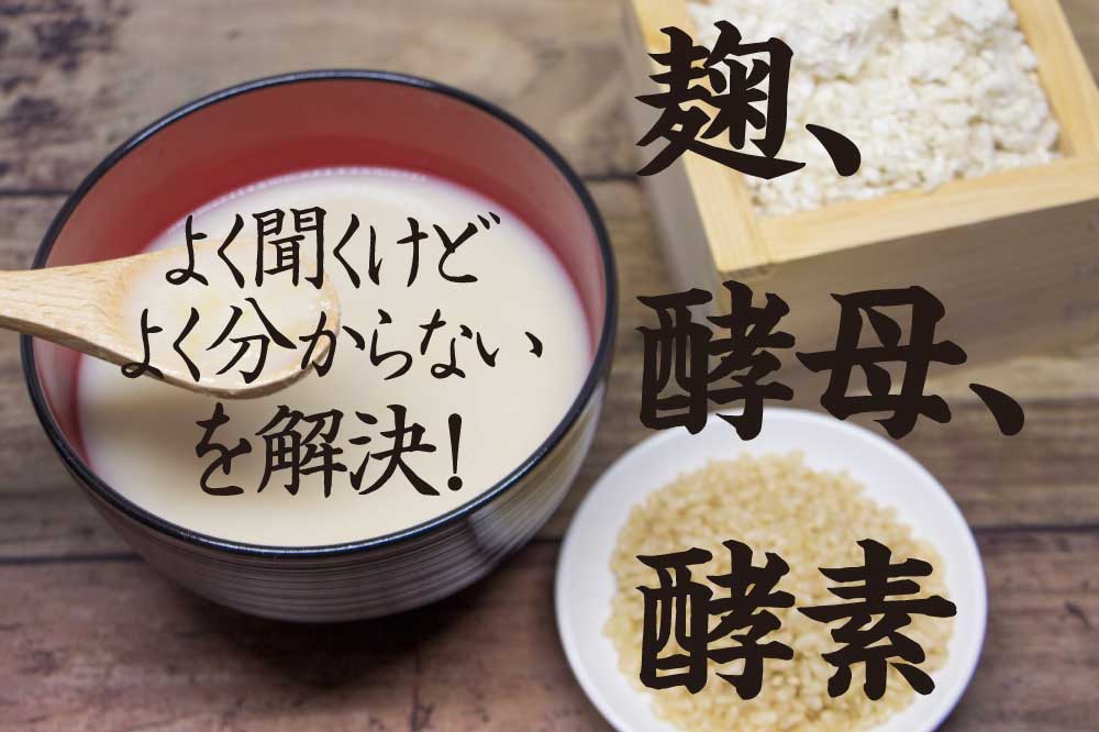 麹、酵母、酵素