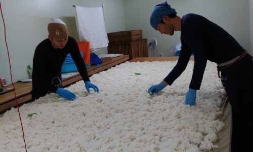 日本酒の製造風景05