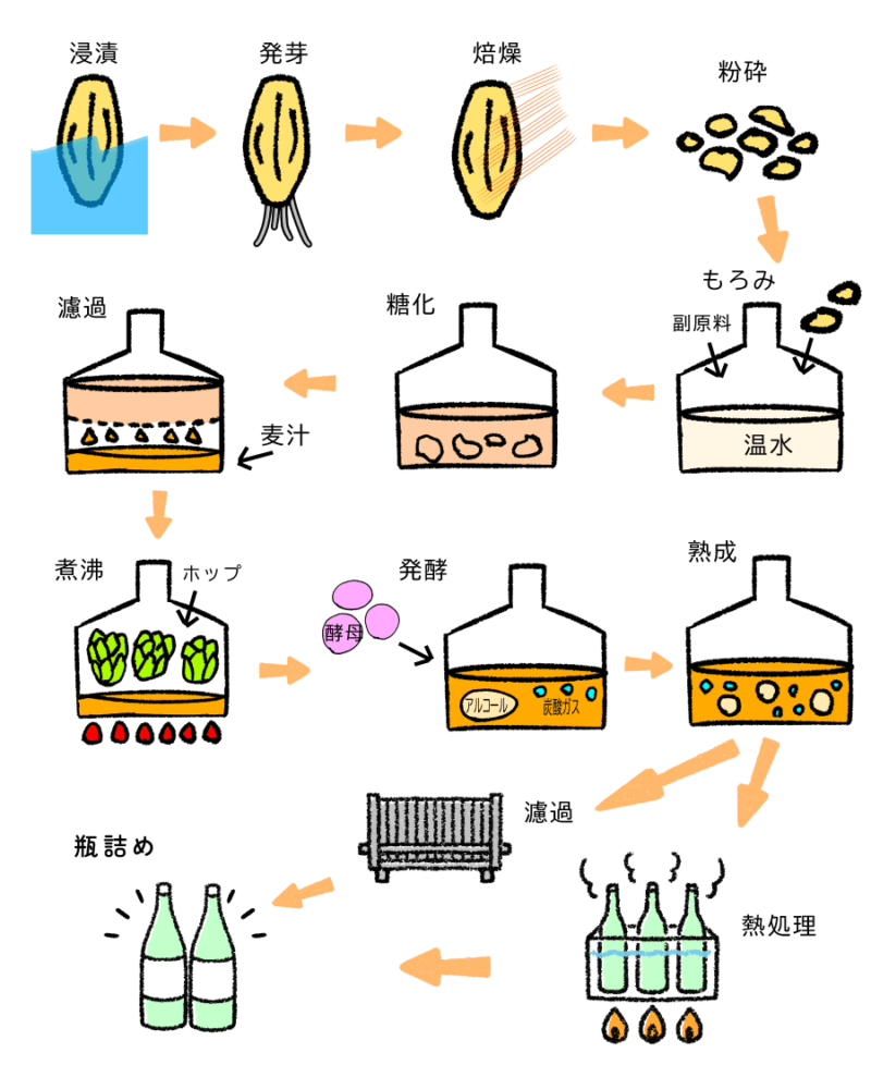 ビールの製造工程