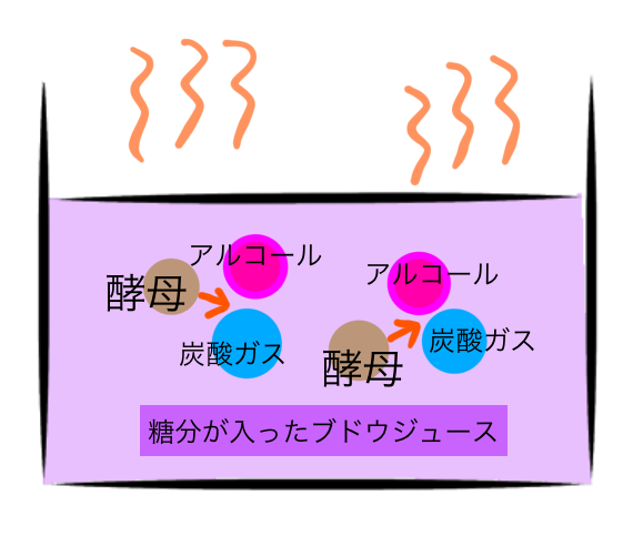 アルコール発酵イラスト